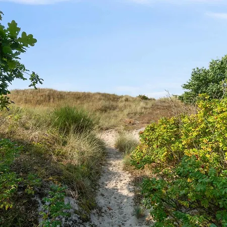 Classic Summer By A Fantastic